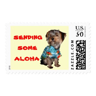 Hawaiian Yorkie