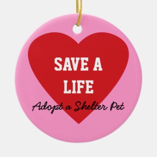 Save a Life-Adopt a Shelter Pet