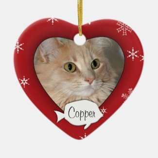 Personalized Cat Photo Holiday Ornament