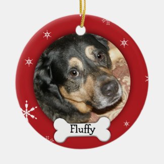 Personalized Pet Photo Holiday