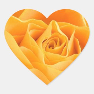 Peach Rose Sticker