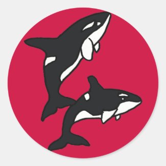AA Leaping Killer Whales Sticker