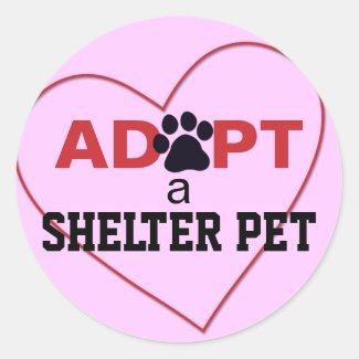 Adopt a Shelter Pet