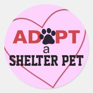 Adopt a Shelter Pet