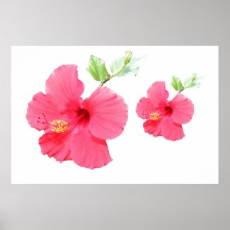 Hibiscus Poster
