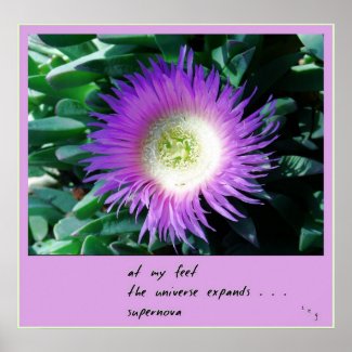 Supernova Haiku Art Print