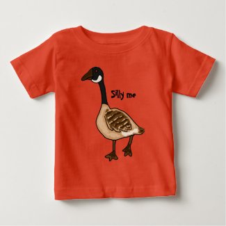 AB- Silly Goose Baby Outfit