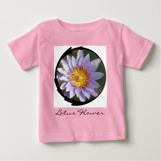 Purple Lotus/Water Lily