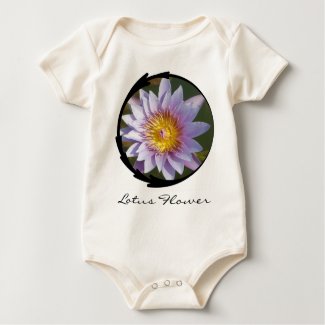 Purple Lotus/Water Lily