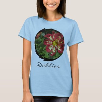 Red Dahlias