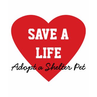 Save a Life-Adopt a Shelter Pet