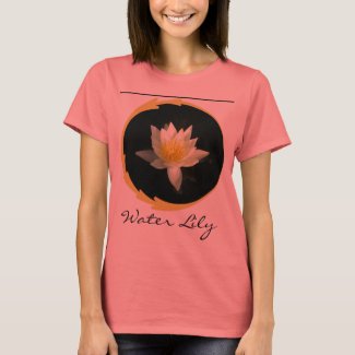 White Water Lily/Lotus