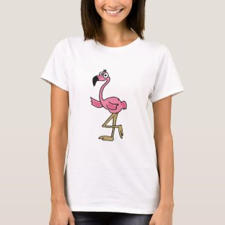 AE- Funny Flamingo T-shirt