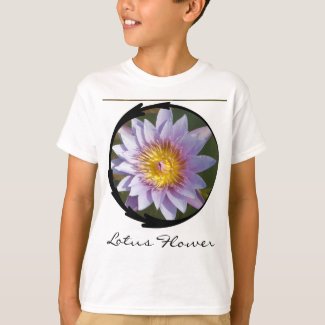 Purple Lotus/Water Lily