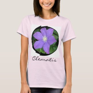 Purple Clematis