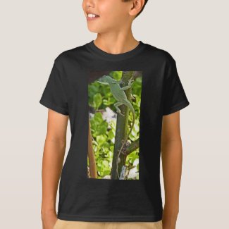 CB- Chameleon Lizard Shirt