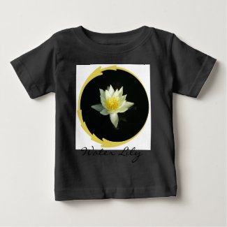 White Water Lily/Lotus