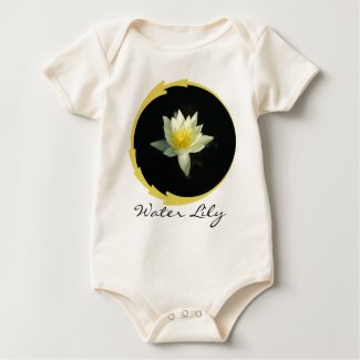 White Water Lily/Lotus