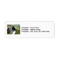 Labels Turtle The MUSEUM Zazzle Gifts