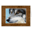 Grey Wolf Portrait | Animal / Wildlife Art