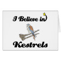 i believe in kestrels