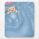 cute jean pocket teddy bear