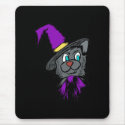 Black cat in purple hat