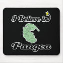 i believe in pangea
