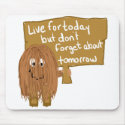 Brown live for today