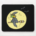 witch on moon