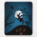 spooky halloween night witch and spiders vector