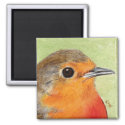 European Robin | Bird Art Magnet