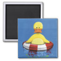 Yellow Duckling in an inflatable Ring Duck Magnet