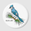 Bernie Blue Jay