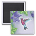 elegant colorful hummingbird and purple flowers