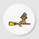 Orange cat on a broom