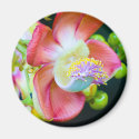 Cannonball Flower