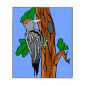 Willford Woodpecker