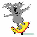 funny skateboarding koala bear