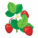 realistic juicy strawberries