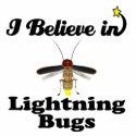 i believe in lightning bugs