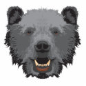 black bear face
