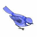 Blazer Blue Jay