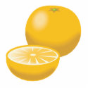 realistic orange tangerine