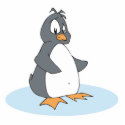 lonley little penguin