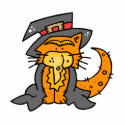 Orange cat in witches outfit