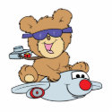 vacation teddy bear in plane