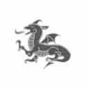 Asian Gray Dragon