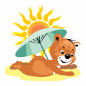 Summertime Beach Fun Bear