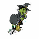 Clean Green Witch